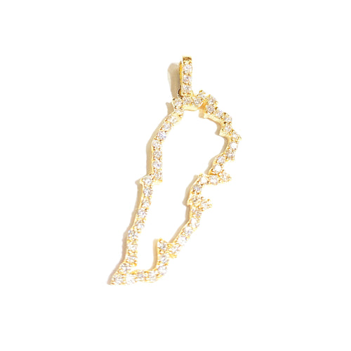 Diamond Outline of State/Country Pendant in 14k Yellow Gold on a white background.